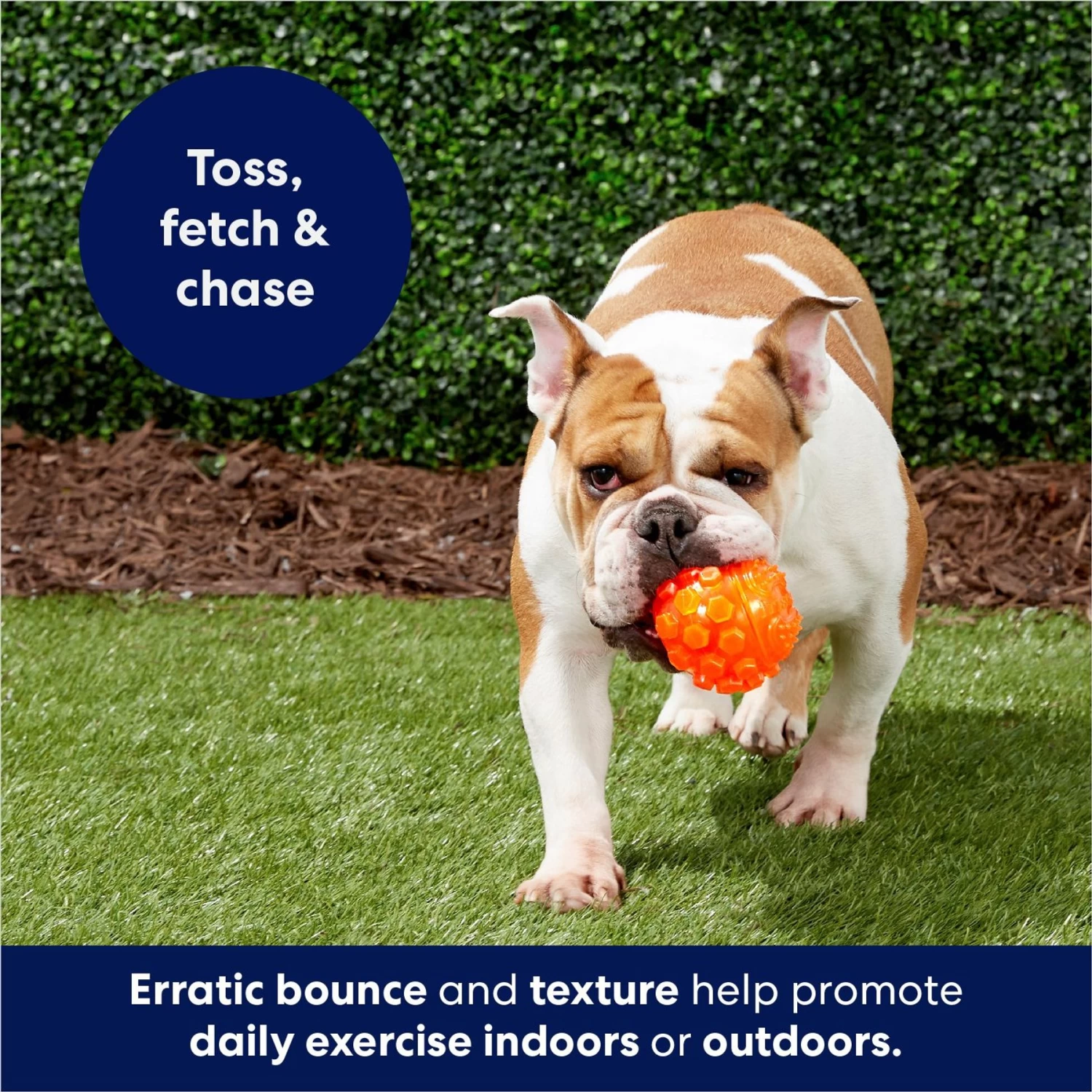 Frisco Fetch Squeaky TPR Ball Dog Toy - Image 5