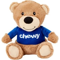 Frisco Chewy Bear Plush Squeaky Dog Toy
