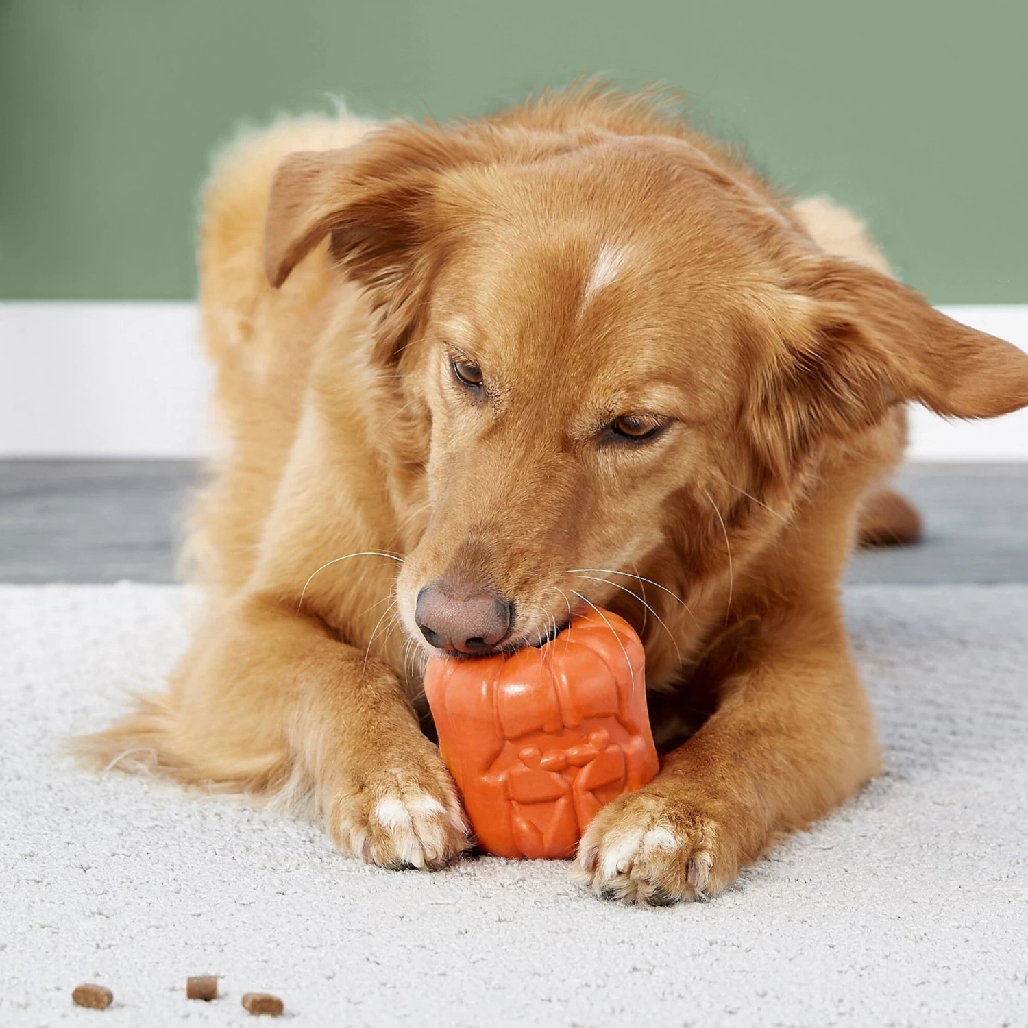 Frisco Halloween Pumpkin Rubber Treat Dispenser Dog Toy, Medium/Large - Image 6