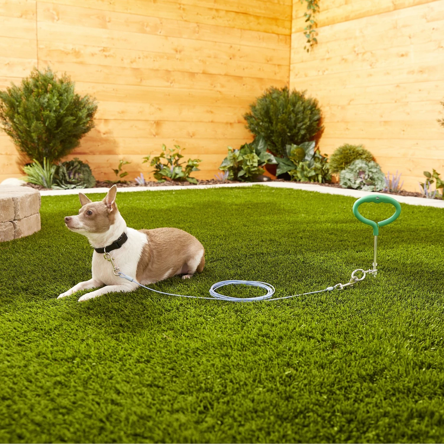 Frisco Tie Out Cable, Small - Image 2