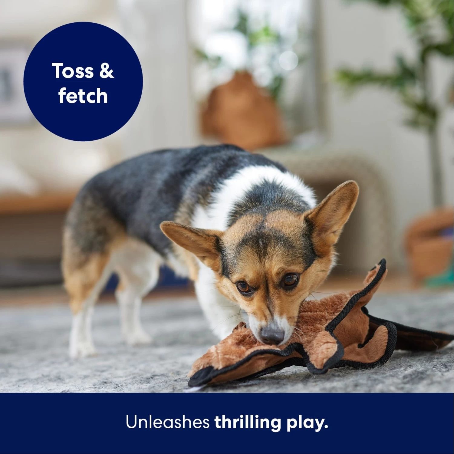 Frisco Beaver Stuffing-Free Flat Plush Squeaky Dog Toy - Image 5