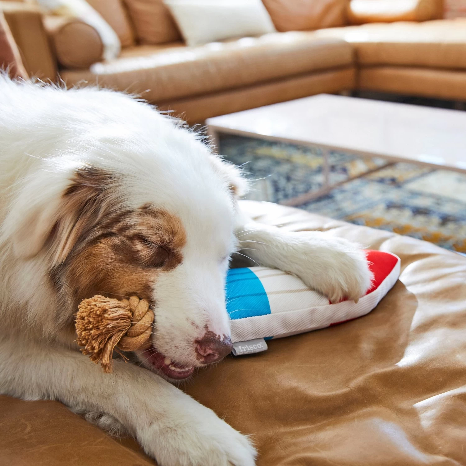 Frisco Summer Fun Plush & Rope Popsicle Dog Toy - Image 3