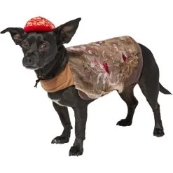 Frisco Zombie Dog & Cat Costume