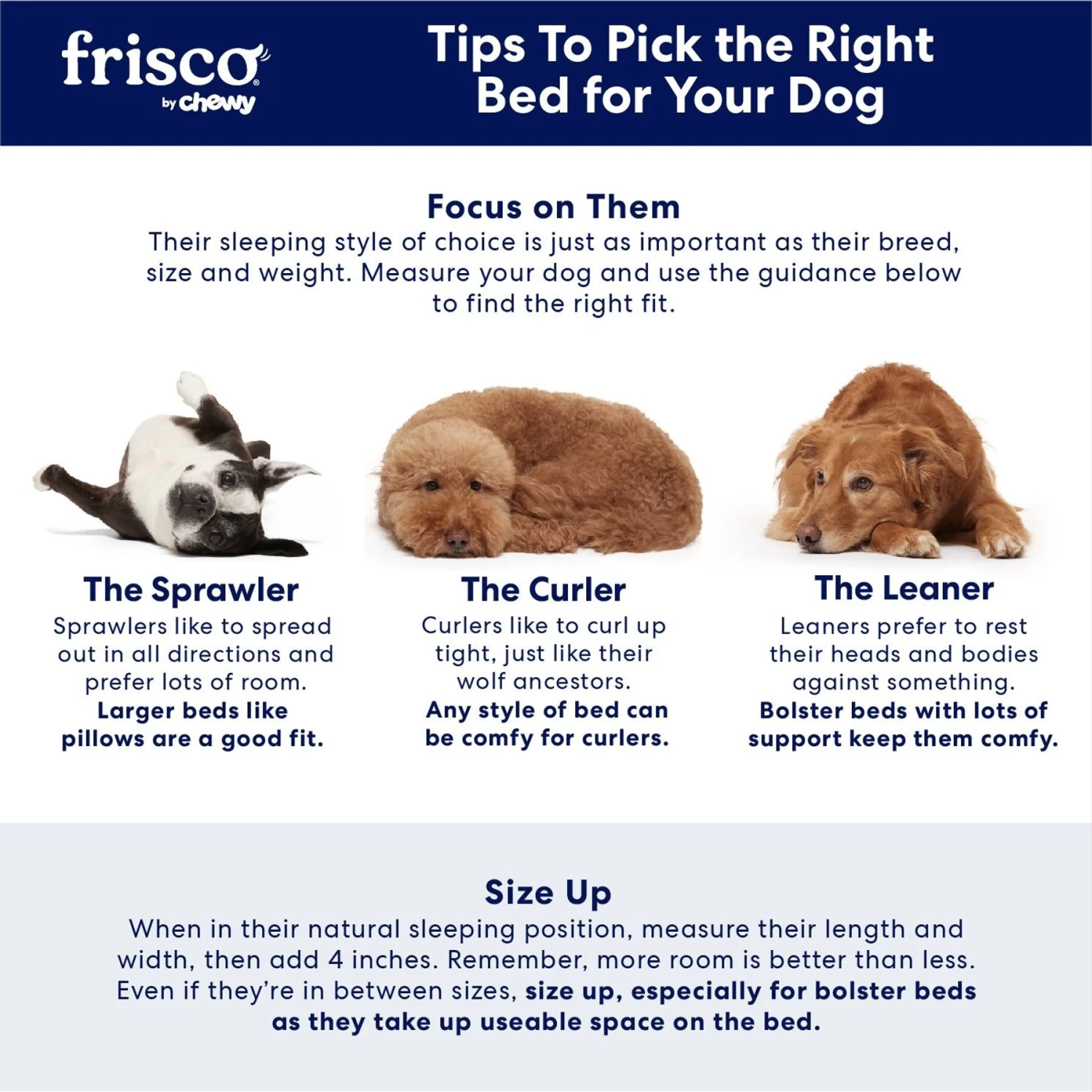 Frisco Velvet Round Bolster Dog Bed W/Removable Cover - Image 5