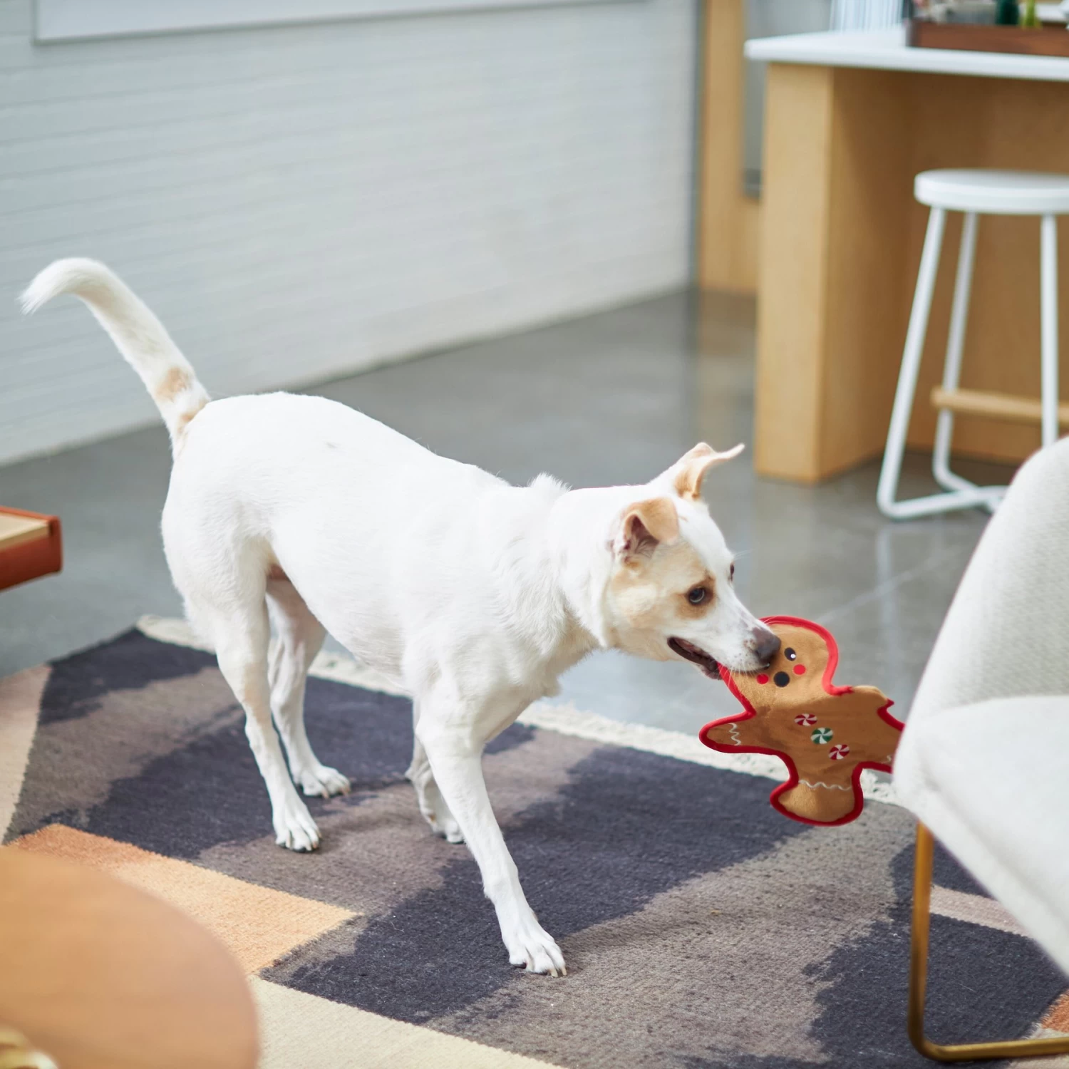 Frisco Holiday Gingerbread Man Flat Plush Squeaky Dog Toy - Image 3