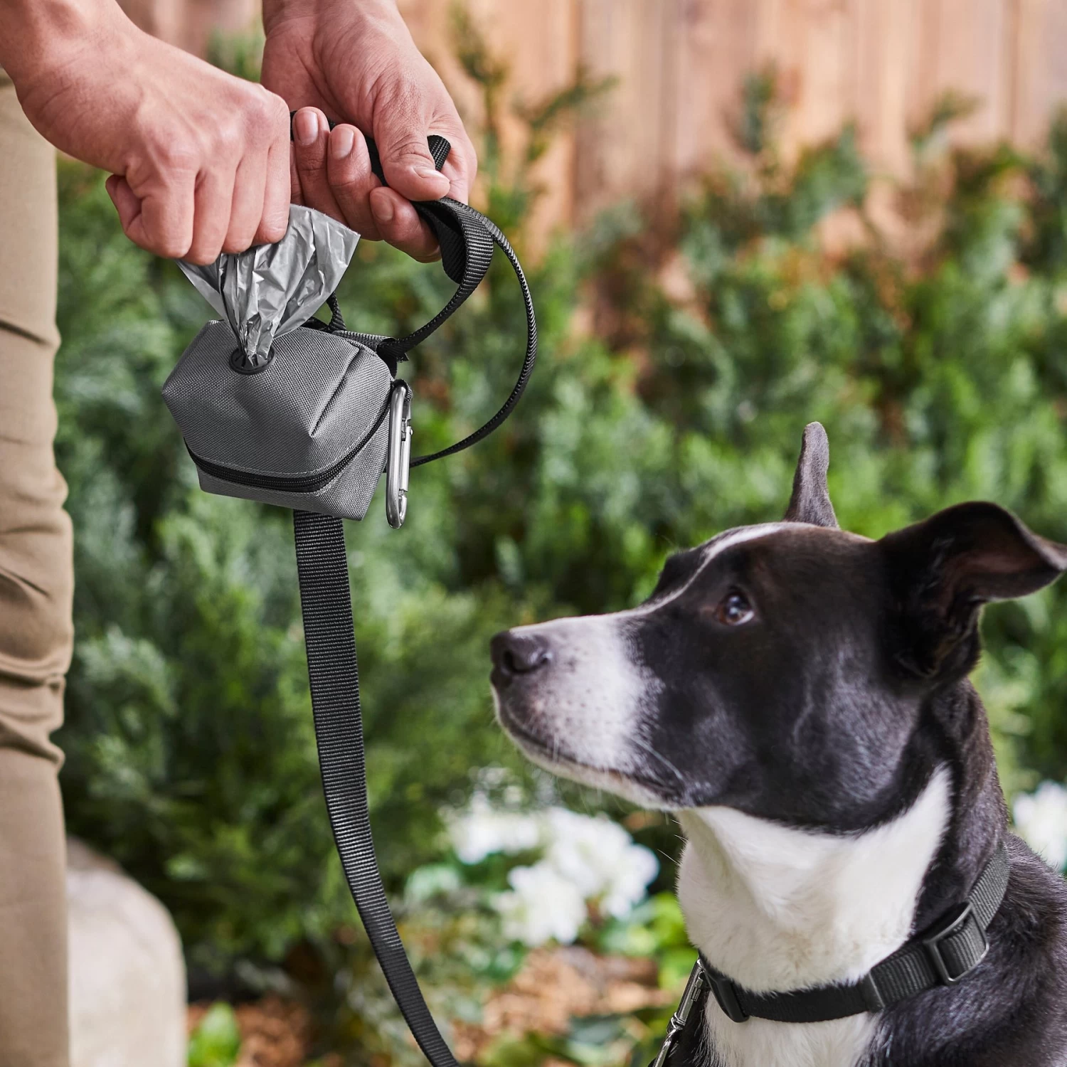 Frisco Large Size Dog Poop Bags With Fabric Dispenser - Image 7