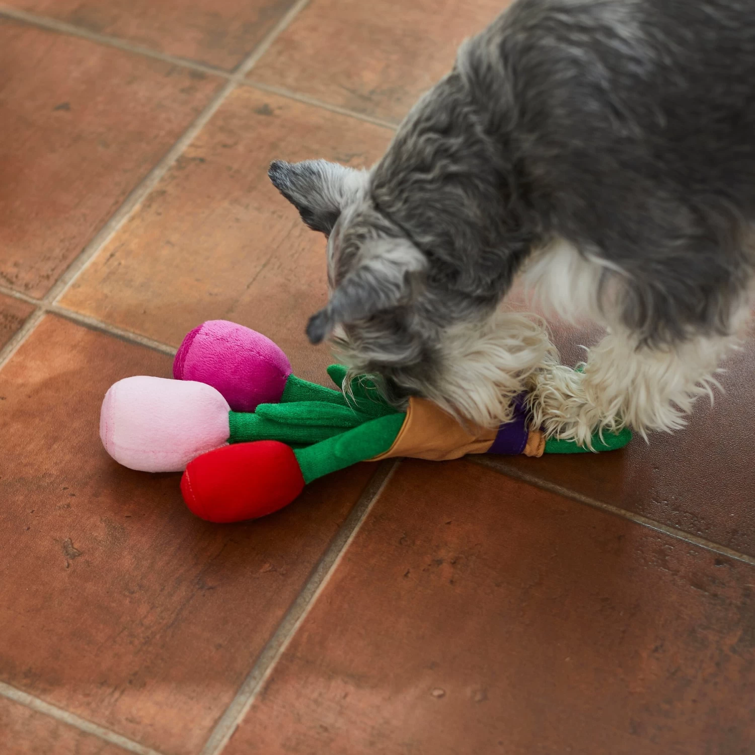 Frisco Valentine Rose Bouquet Plush Squeaky Dog Toy - Image 3