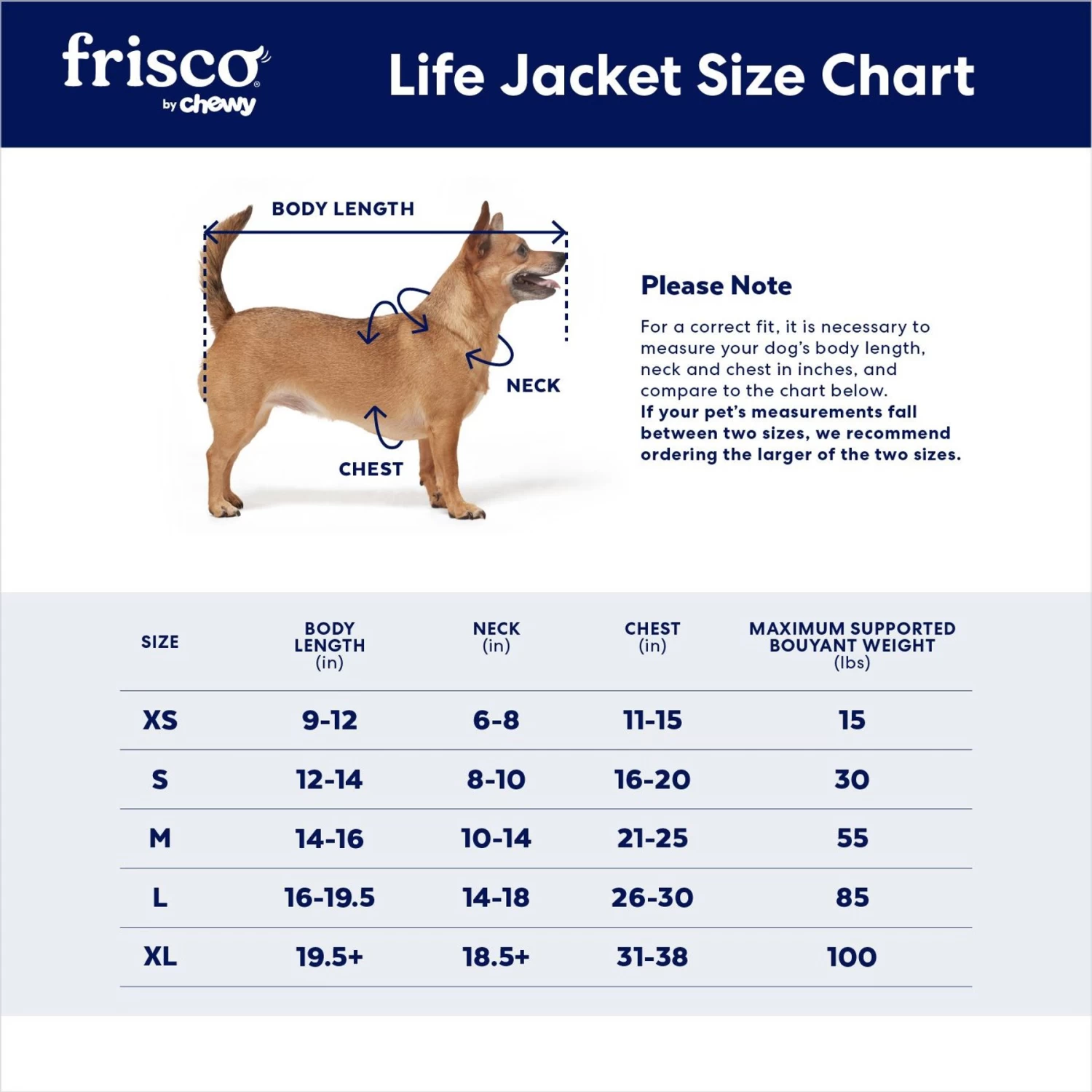Frisco Active Dog Life Jacket - Image 2