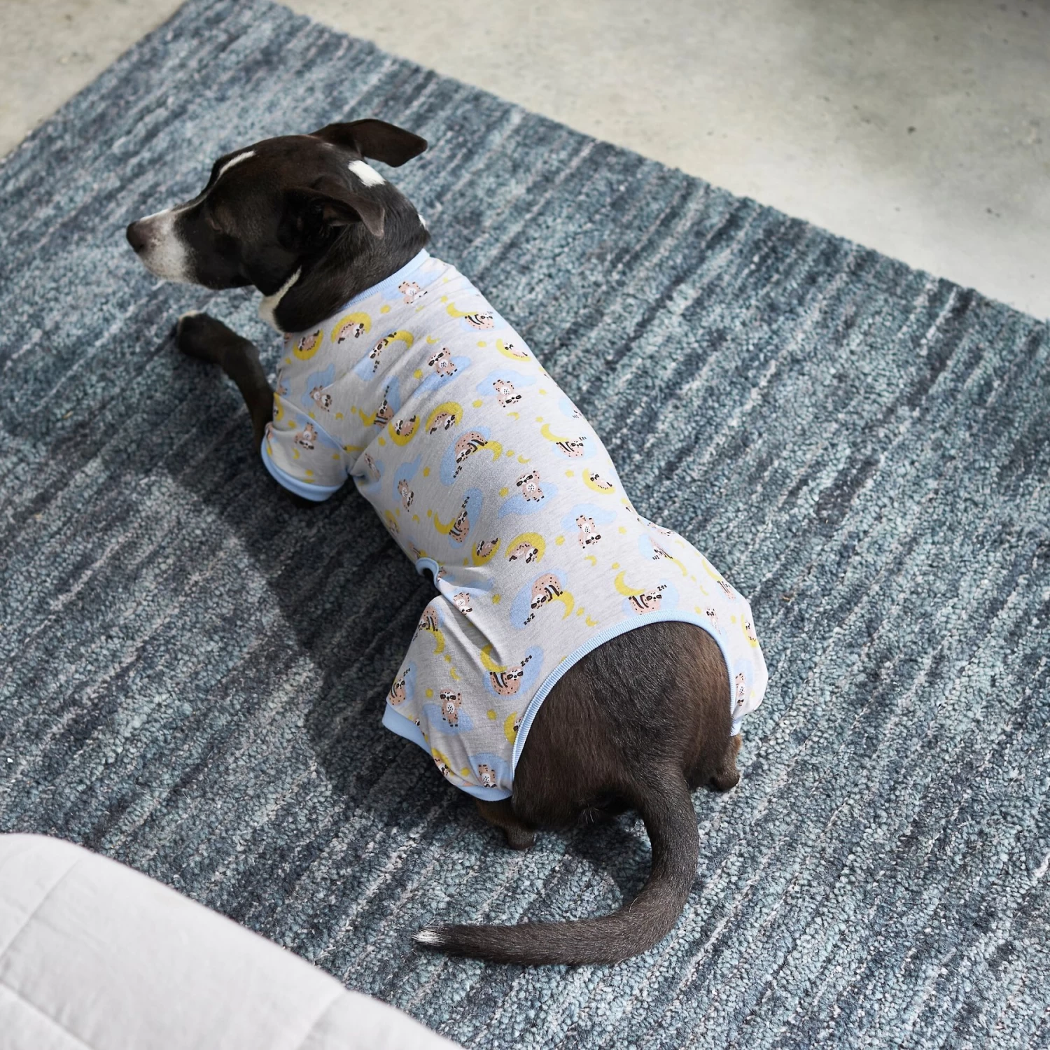 Frisco Sleepy Sloths Dog & Cat Jersey PJs - Image 5