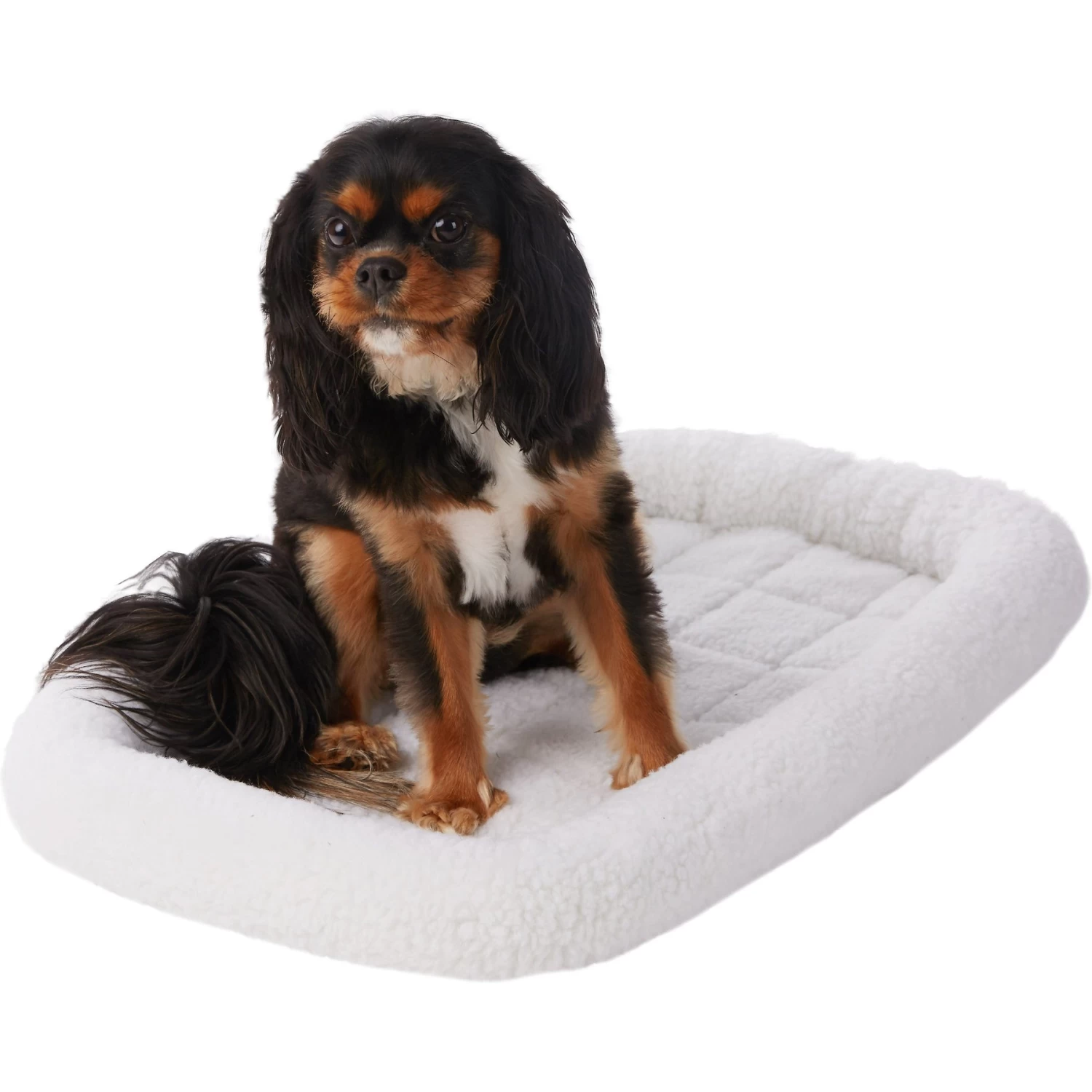 Frisco Fold & Carry Single Door Collapsible Wire Dog Crate & Frisco Quilted Dog Crate Mat - Image 5