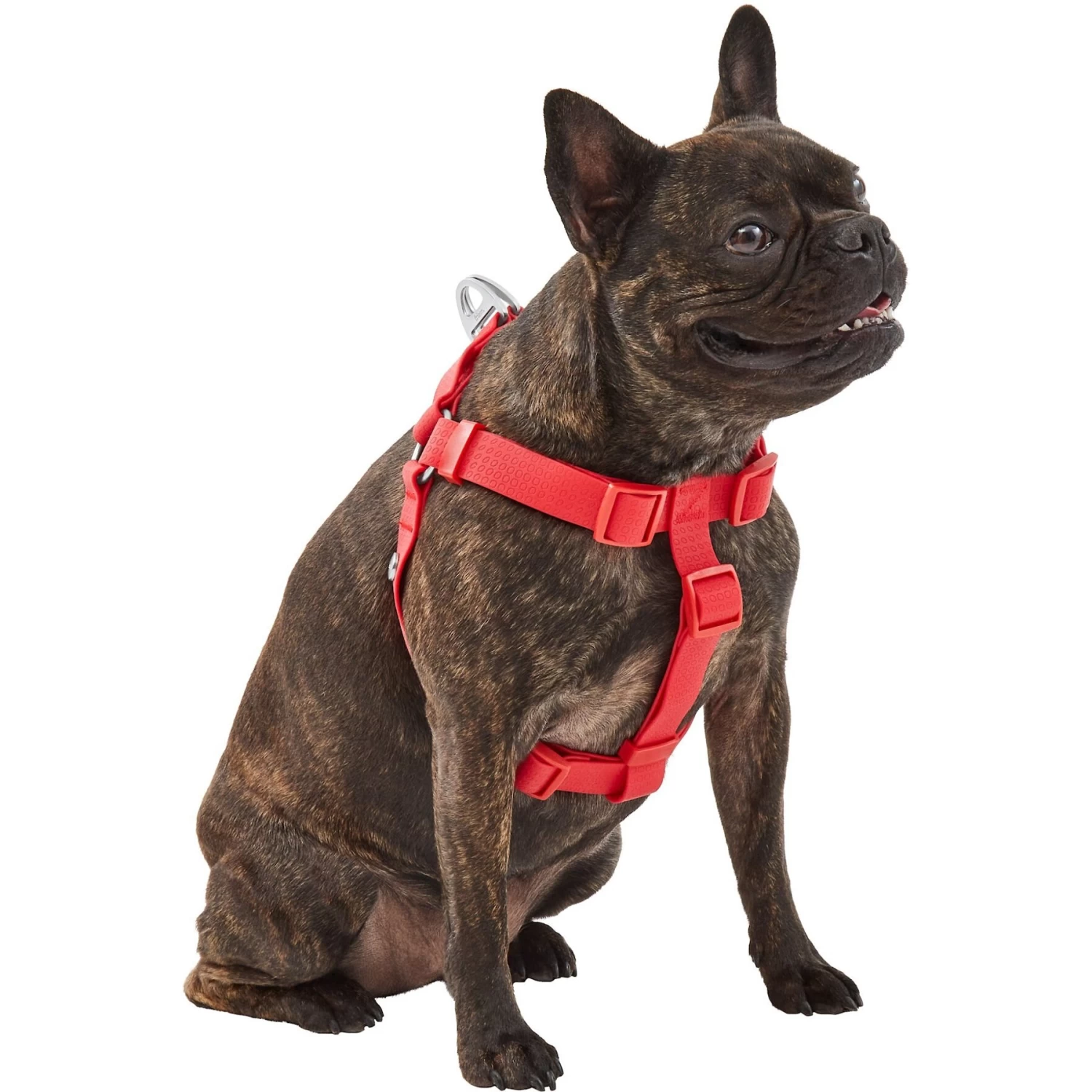 Frisco Outdoor Solid Textured Waterproof Stink Proof PVC Dog Harness - Image 3