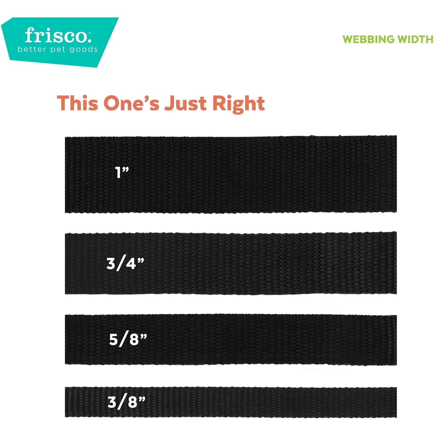 Frisco Solid Nylon Personalized Dog Leash - Image 2