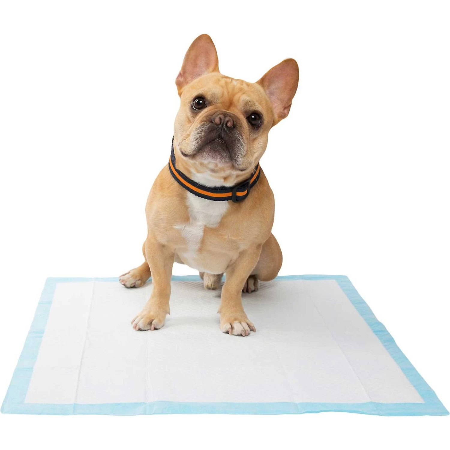 Frisco Premium Dog Training & Potty Pads & Frisco Premium Extra Large Dog Training & Potty Pads - Image 5
