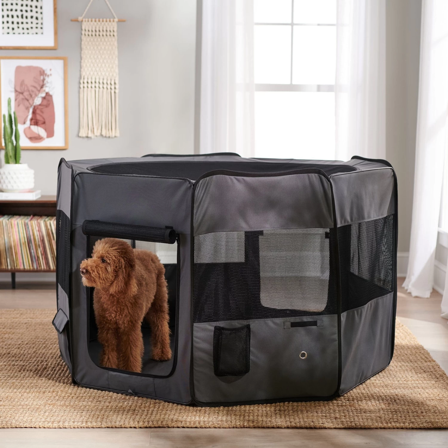 Frisco Soft-Sided Dog, Cat & Small Pet Exercise Playpen