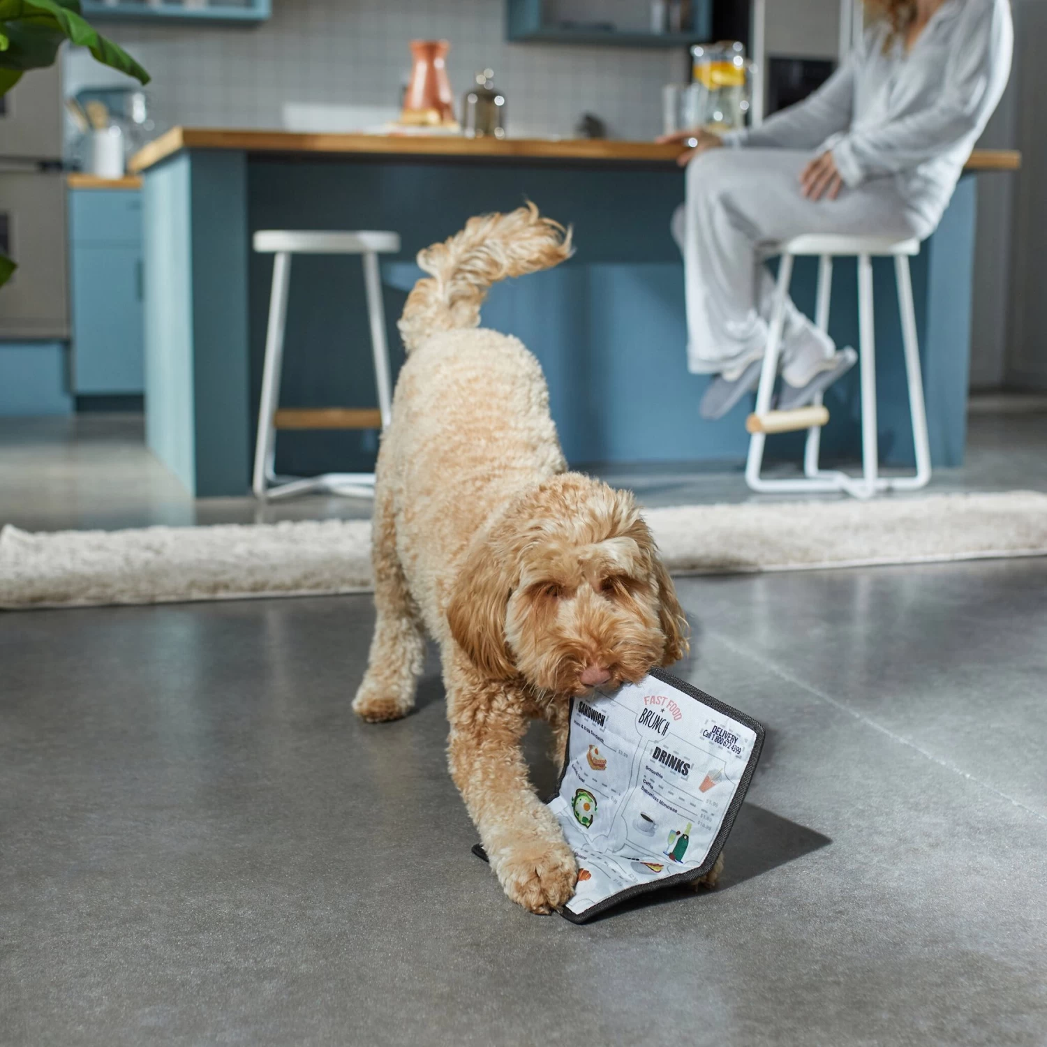 Frisco Brunch Menu Ballistic Nylon Flat Plush Squeaky Dog Toy - Image 3