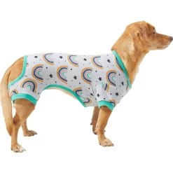 Frisco Rainbow Dog & Cat PJs