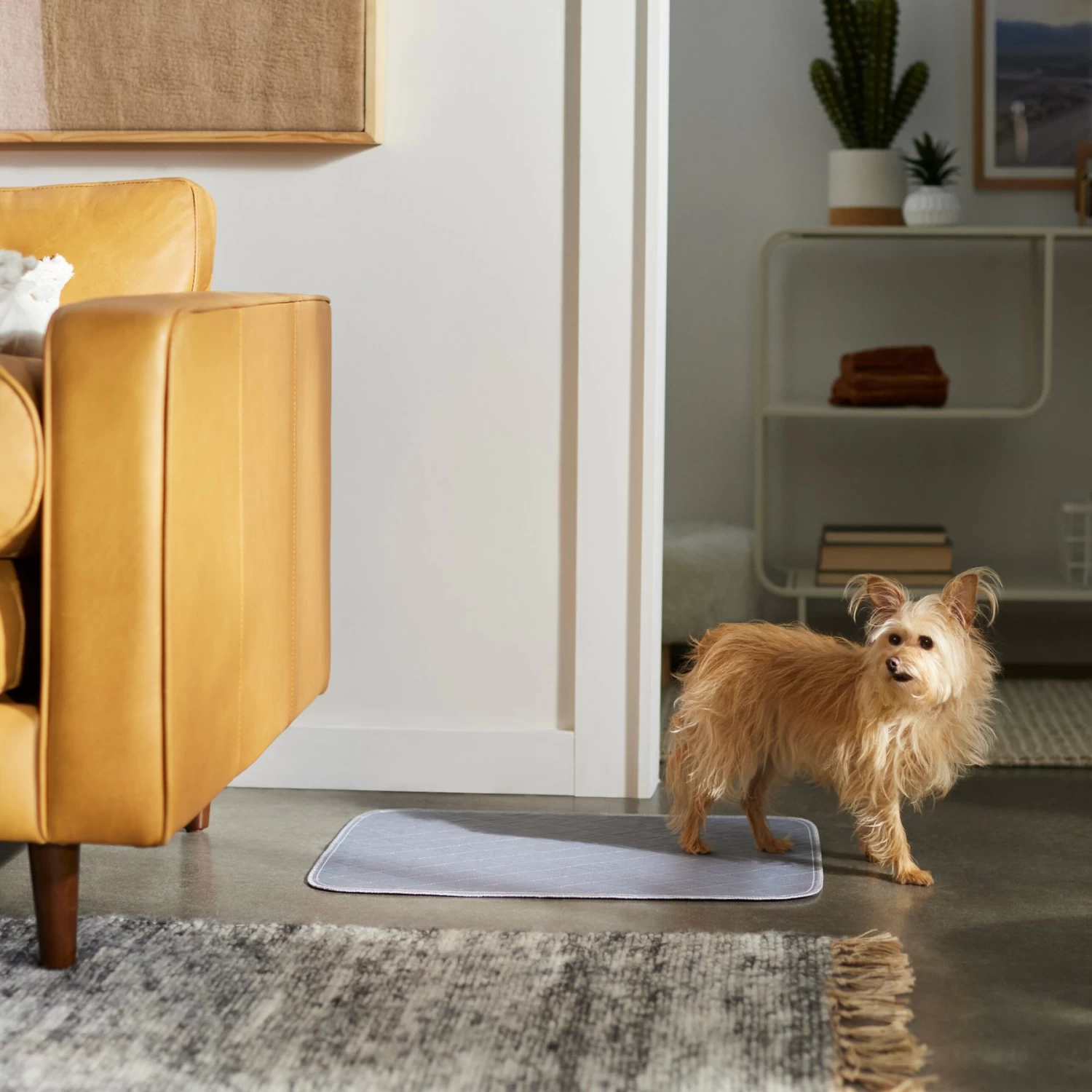 Frisco Washable Dog Potty Pads - Image 4