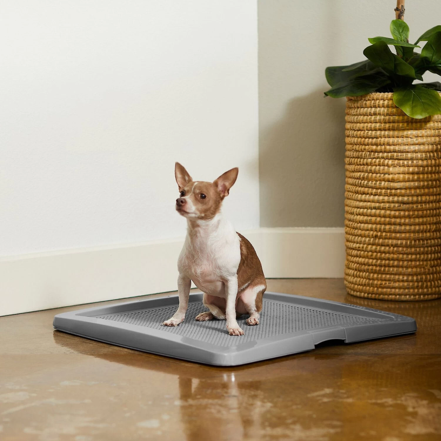 Frisco Training Pad Holder & Frisco Premium Dog Training & Potty Pads - Image 5