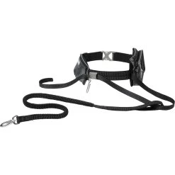 Frisco Outdoor Running Belt With Bungee Dog Leash
