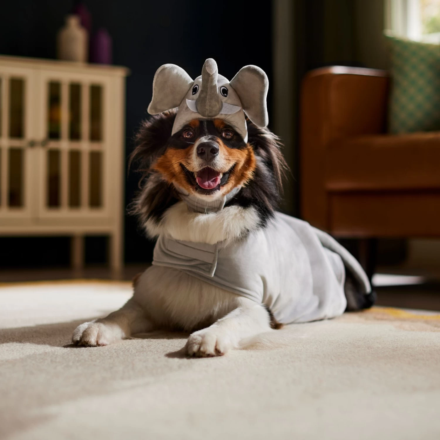 Frisco Elephant Dog & Cat Costume - Image 6
