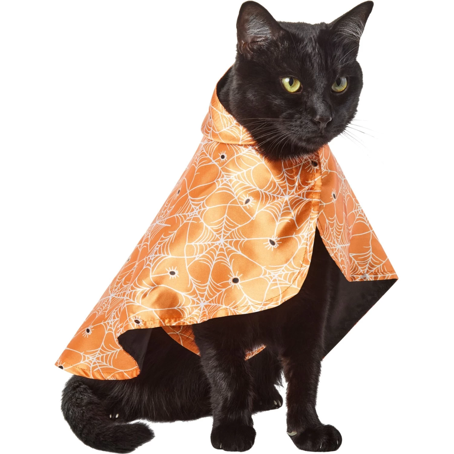 Frisco Spider Webbed Dog & Cat Costume Cape - Image 3