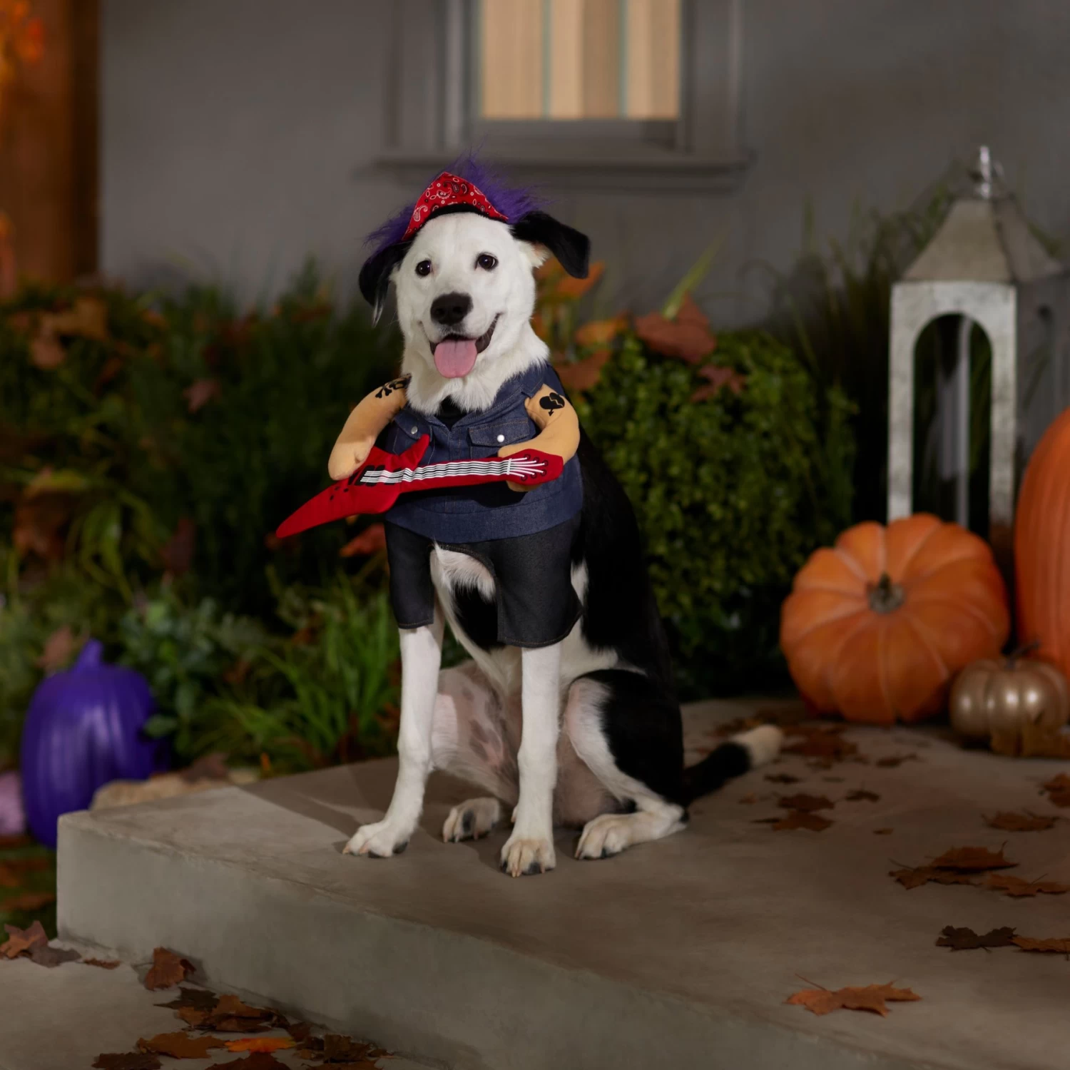 Frisco Front Walking Punk Rocker Dog & Cat Costume - Image 7