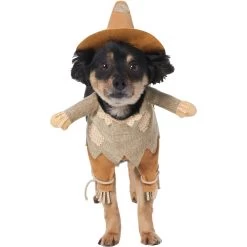 Frisco Front Walking Scarecrow Dog & Cat Costume