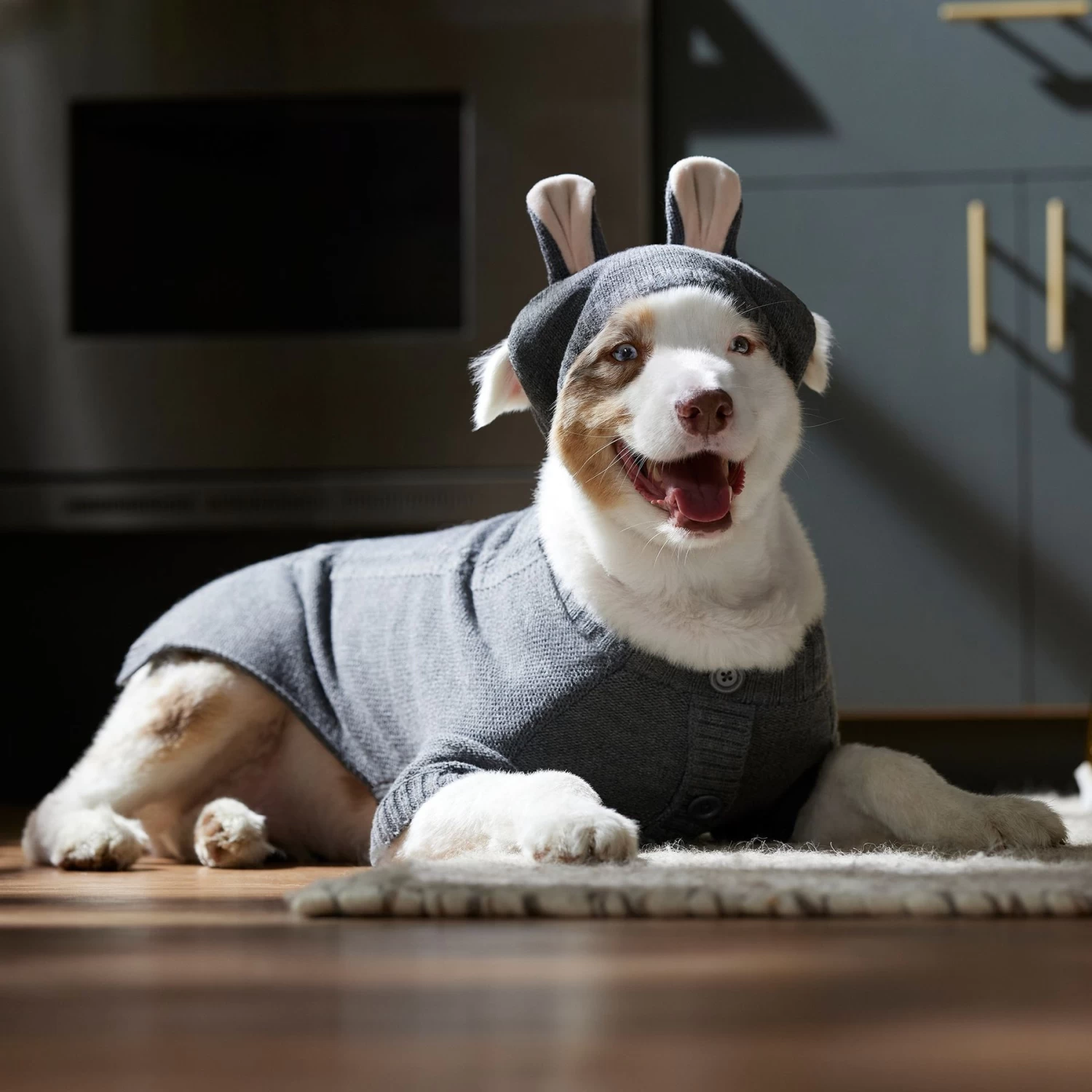 Frisco Bunny Hooded Dog & Cat Sweater - Image 6