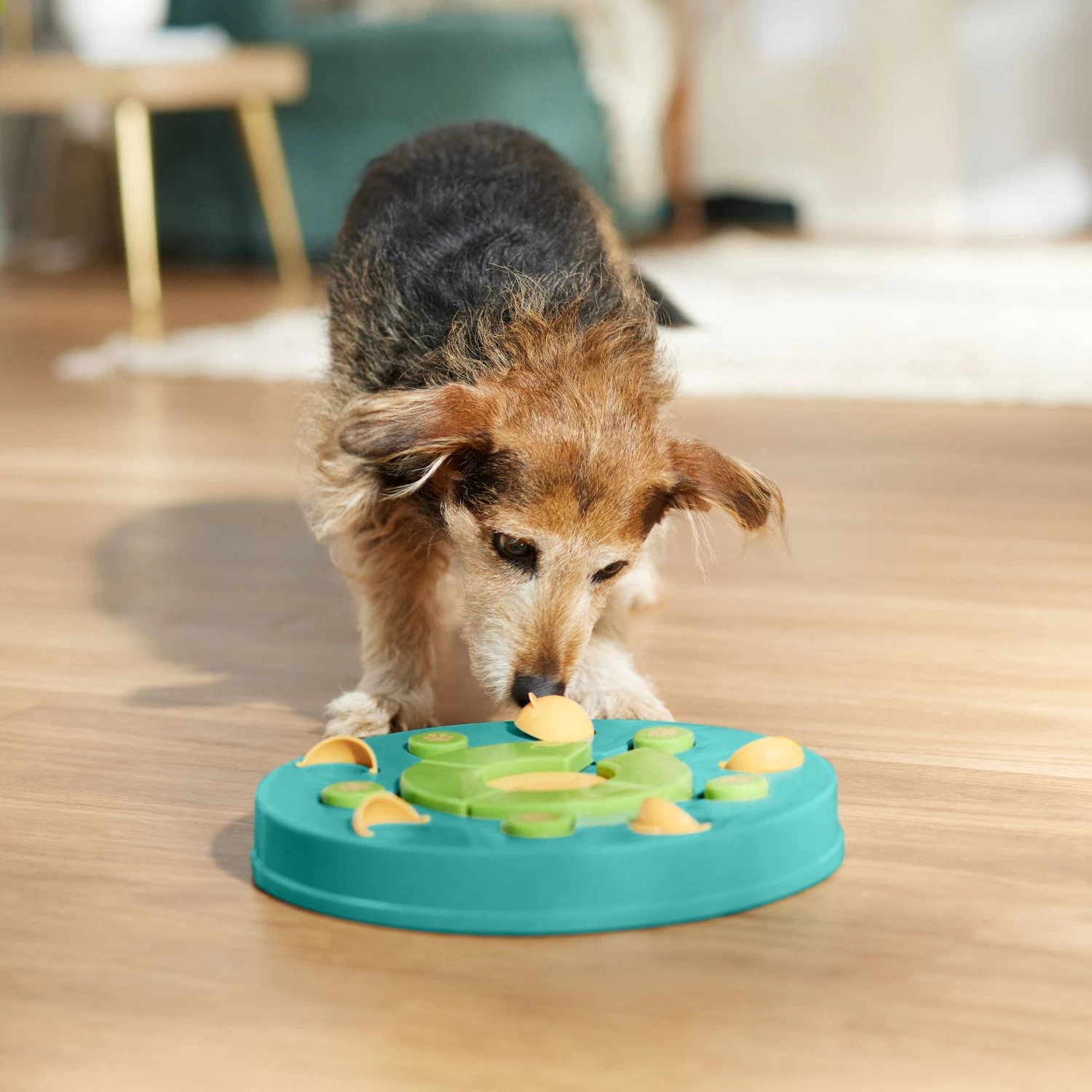 Frisco 3-in-1 Interactive Puzzle Dog Toy, Advanced - Image 6