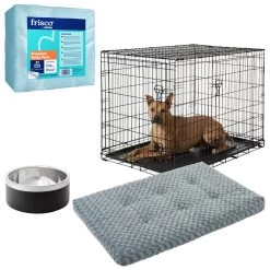 Frisco Insulated Two-Toned Non-Skid Stainless Steel Dog & Cat Bowl + 3 Items