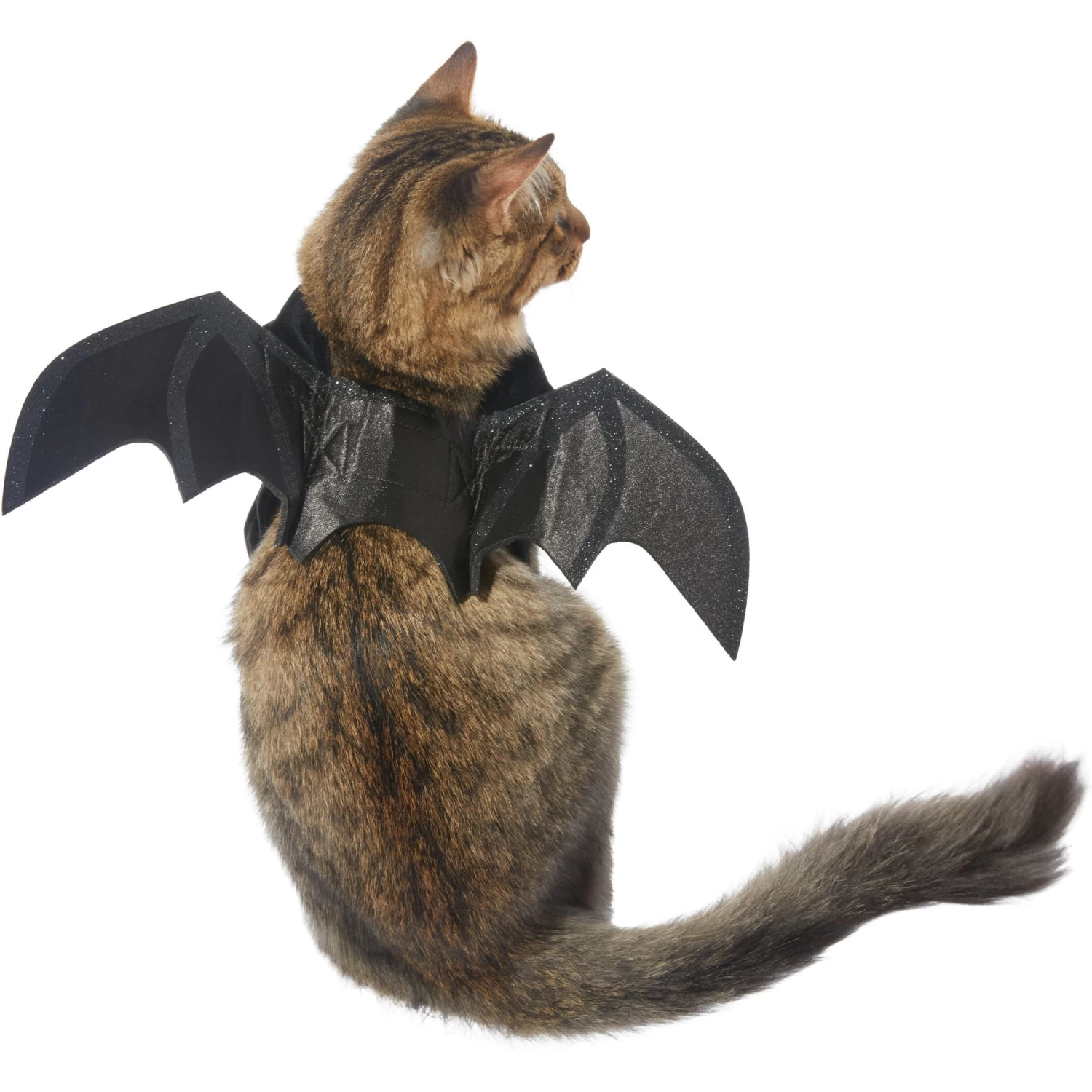 Frisco Bat Wings Dog & Cat Costume & Buckle-Down Batman Shield Polyester Dog Collar - Image 3