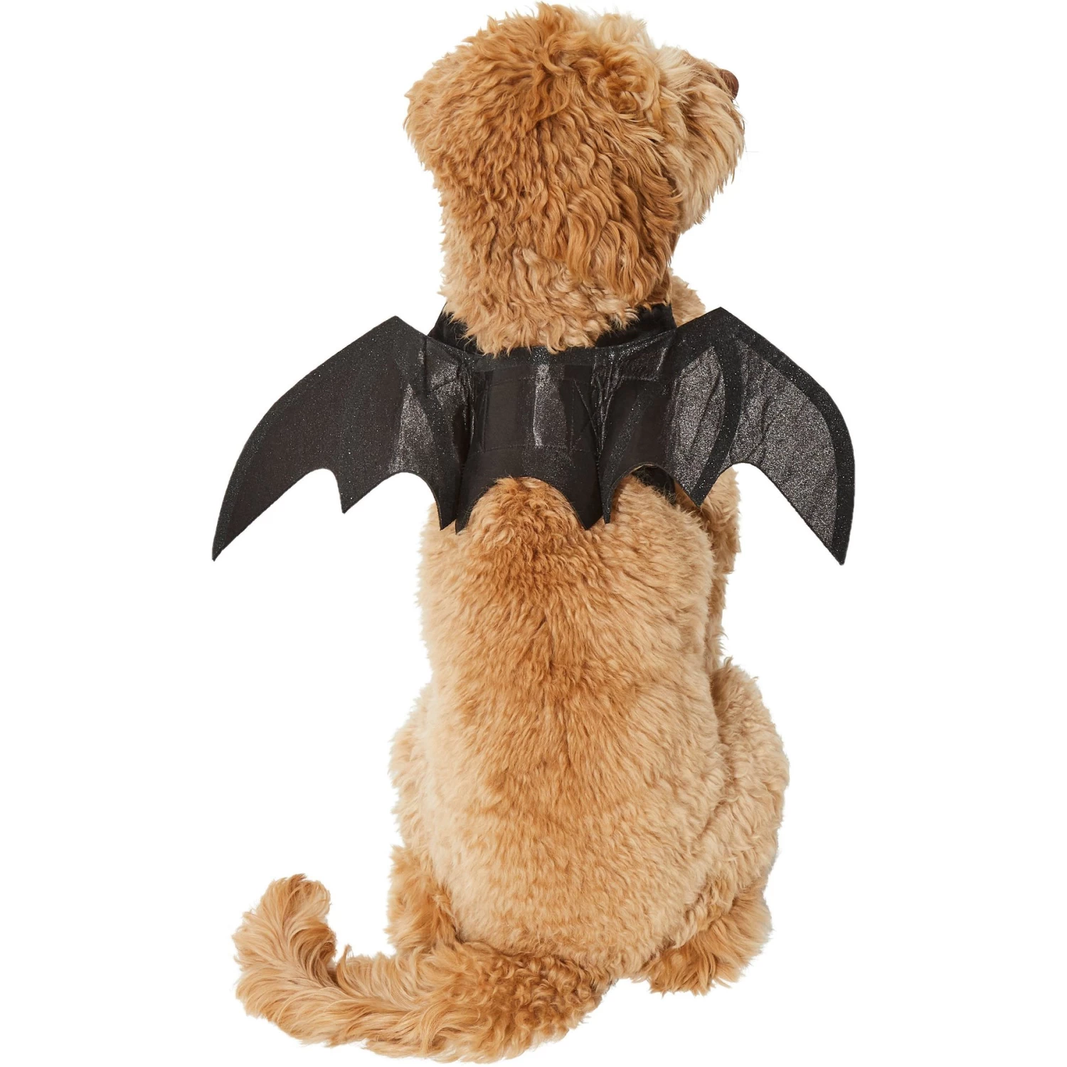 Frisco Bat Wings Dog & Cat Costume & Buckle-Down Batman Shield Polyester Dog Collar - Image 4