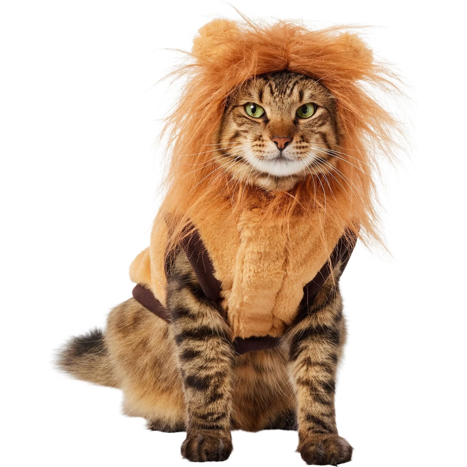 Frisco Lion Love Dog & Cat Costume - Image 3