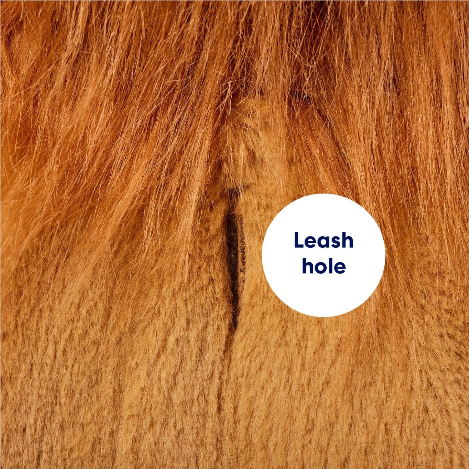 Frisco Lion Love Dog & Cat Costume - Image 7