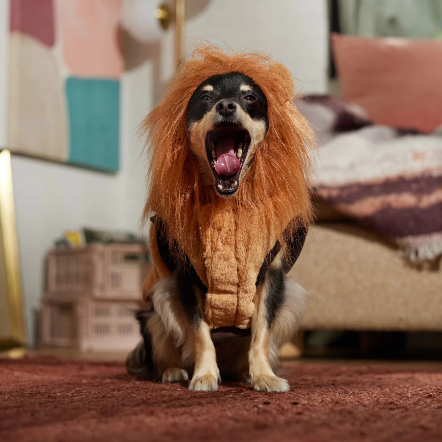 Frisco Lion Love Dog & Cat Costume - Image 8