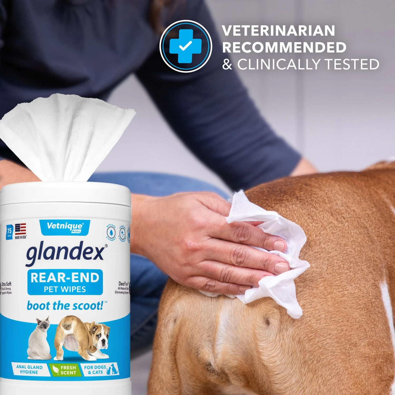Vetnique Labs Glandex Wipes Rear End Anal Gland Cleansing & Deodorizing Hygienic Rear End Boot The Scoot Dog & Cat Wipes & Frisco Disposable Male Dog Wraps - Image 5