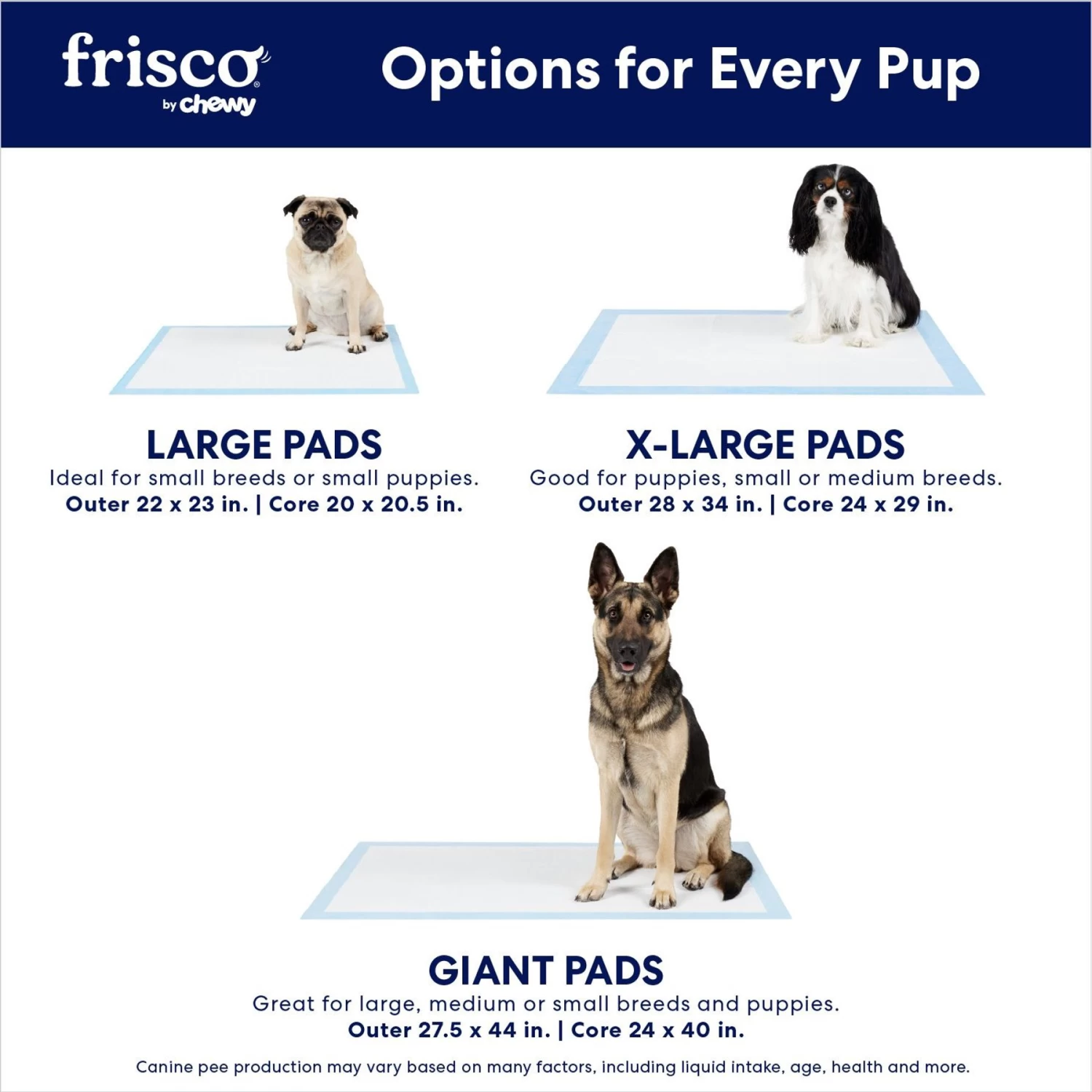 Frisco Premium Dog Training & Potty Pads & POOPH Cat & Dog Odor & Stain Eliminator - Image 9