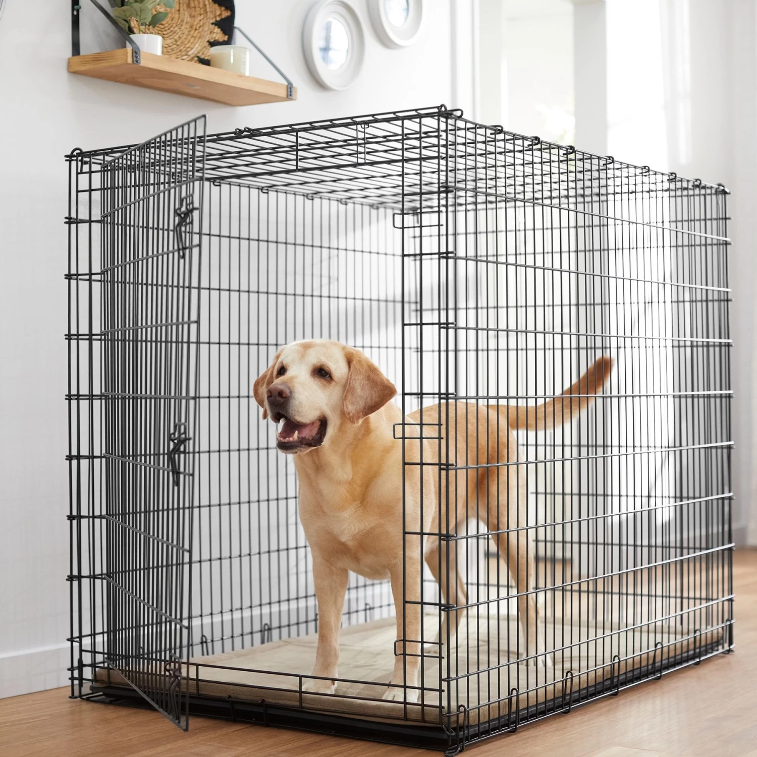 Frisco Heavy Duty Single Door Wire Dog Crate & MidWest Quiet Time Fleece Dog Crate Mat - Image 2
