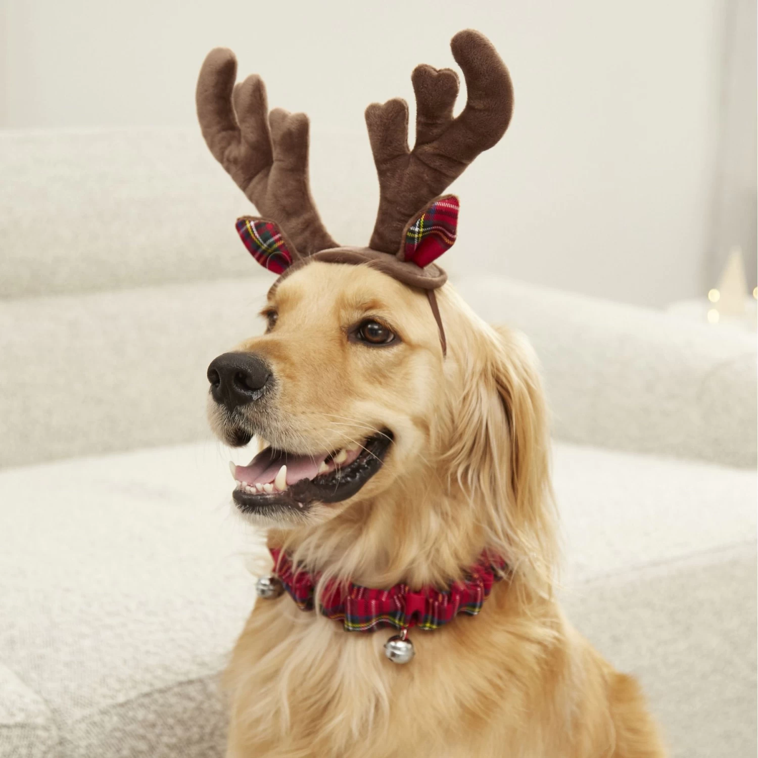 Frisco Jingle Bells Dog & Cat Holiday Collar With Bells, 1 Count & Frisco Holiday Antler Headband & Bell Collar Dog & Cat Costume - Image 8