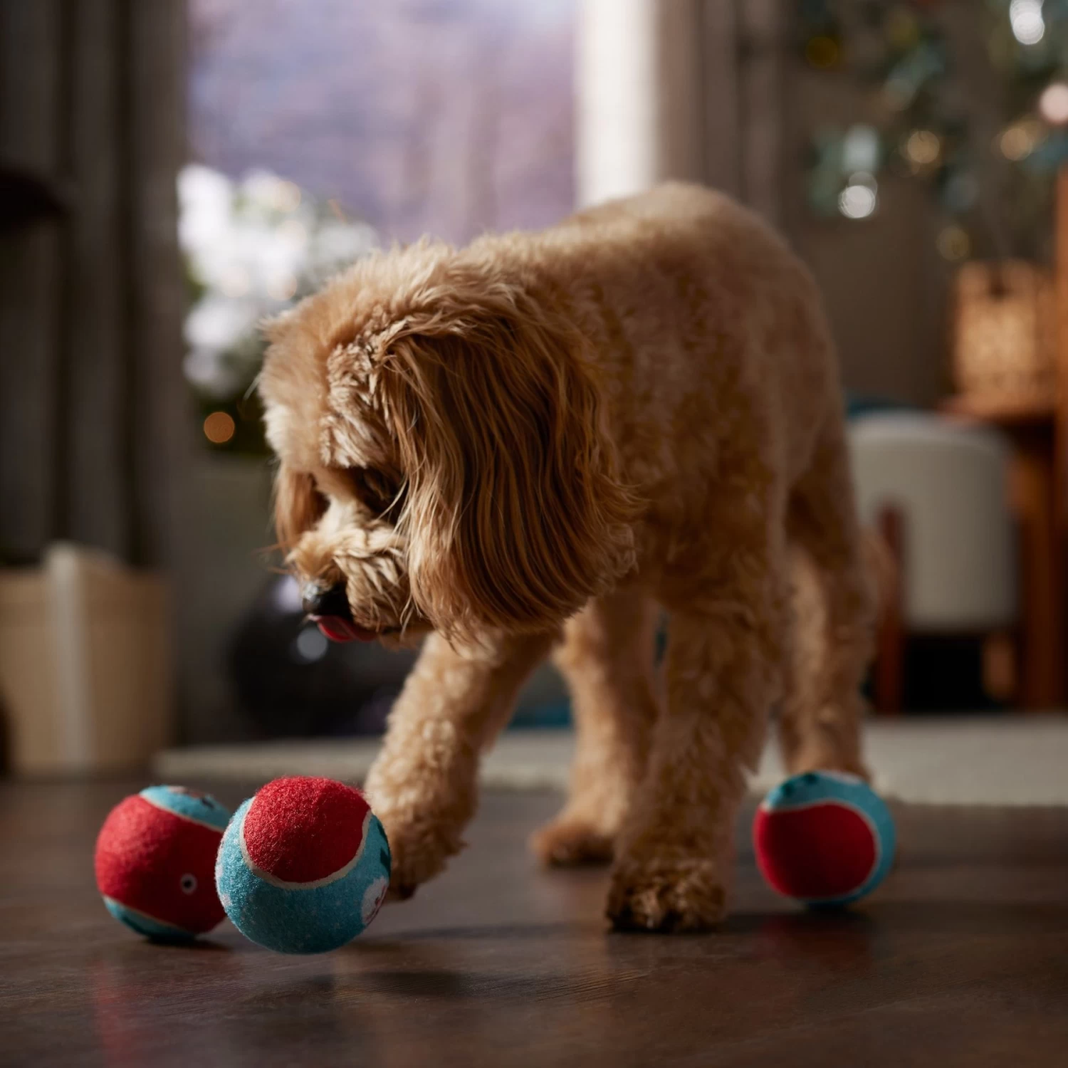 Frisco Holiday Ho Ho Ho Fetch Squeaky Tennis Ball Dog Toy & Frisco Holiday Arctic Friends Stuffing-Free Skinny Plush Squeaky Dog Toy - Image 5